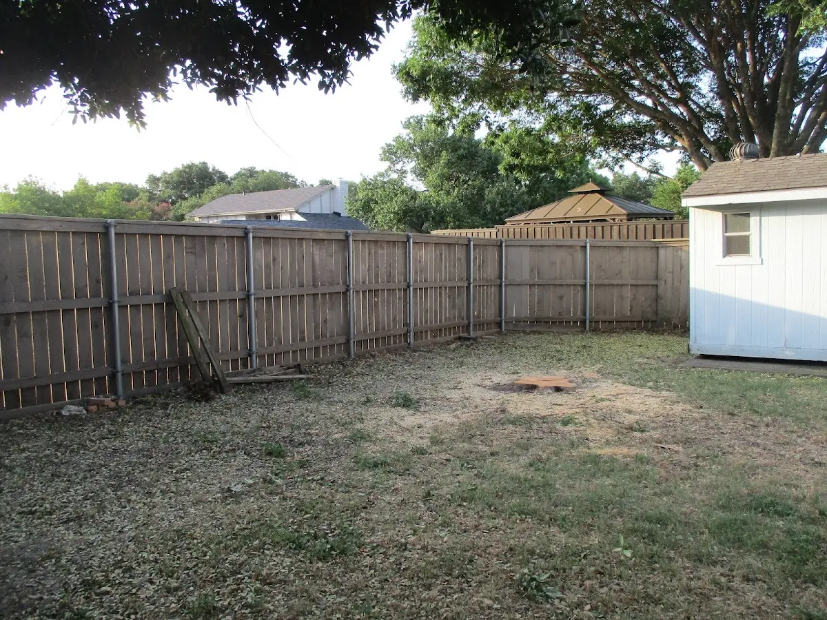 Cleared yard after professional tree removal in Tomales